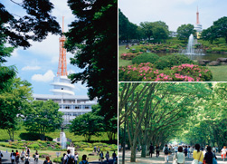 高速度イメージングとフォトニクスに関する総合シンポジウム2017で研究成果を発表しました