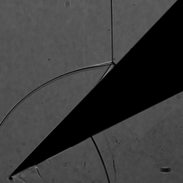 2020年度衝撃波シンポジウムにて研究成果の発表を行いました