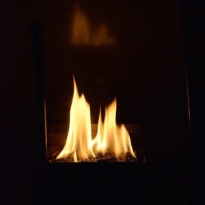 第61回燃焼シンポジウムにて研究成果の発表を行いました